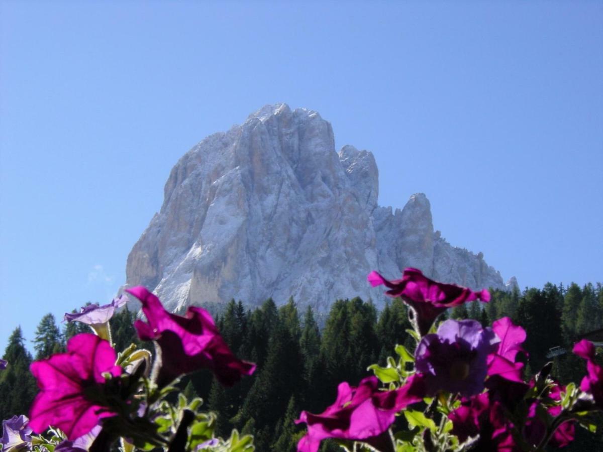 B&B Aretia Santa Cristina Val Gardena Zewnętrze zdjęcie